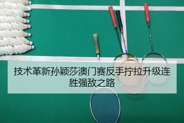ji-shu-ge-xin-sun-ying-sha-ao-men-sai-fan-shou-ning-la-sheng-ji-lian-sheng-qiang-di-zhi-lu-2-573.jpg
